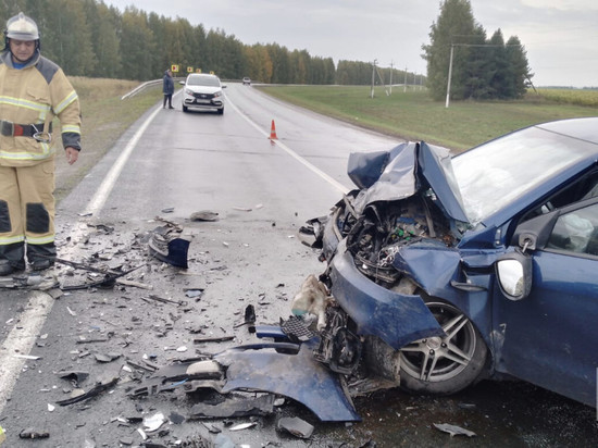 В Татарстане на трассе в ДТП пострадали два человека