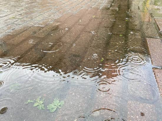 Жителей Ленобласти предупредили о сильных дождях и порывистом ветре