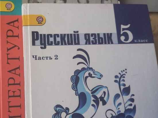Русский язык признан государственным языком ДНР в составе России