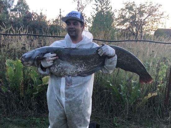 В Шиловском районе Рязанской области рыбак поймал сома весом 25,5 кг
