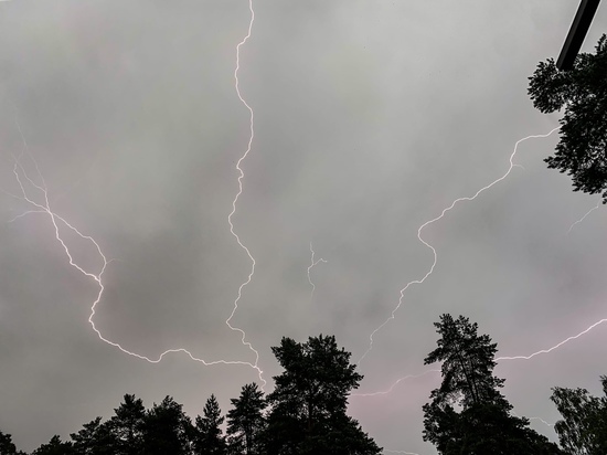 В Рязанской области выпустили метеопредупреждение из-за грозы и ветра