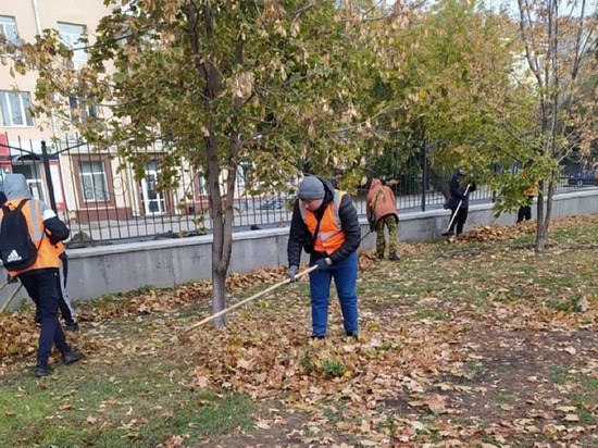 Скверы и парки Кургана очистили от мусора