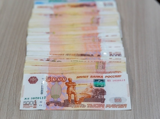 Бросьте косточку: названо число поддержавших кредитную амнистию жителей Красноярска
