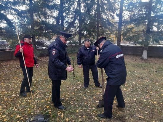 В городе Назарово высадили кедровую аллею в честь сотрудников ОВД