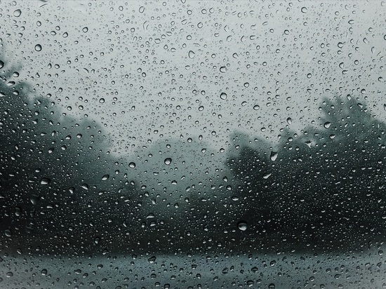Умеренный дождь и свежий ветер пообещали новгородцам во вторник