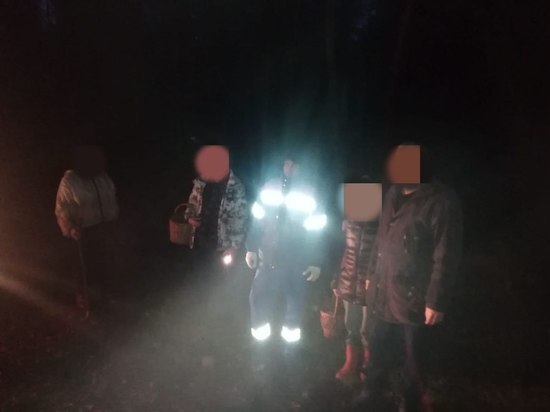 Женщина с ребенком пропали в лесу около Мельниково вечером в воскресенье