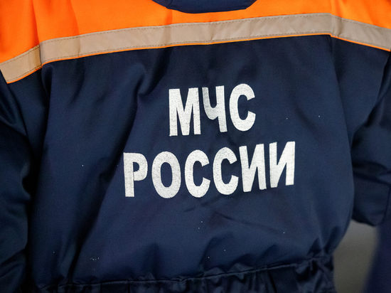 Погибшего обнаружили на пожаре в Пскове