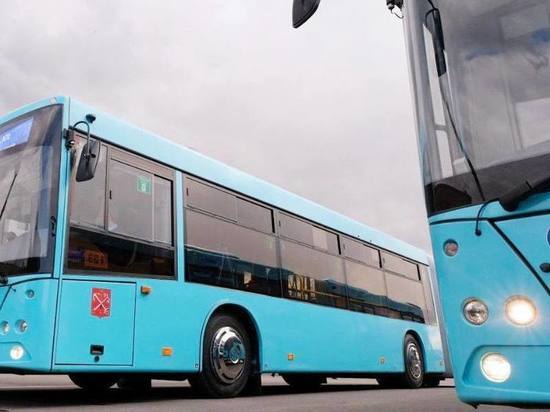 В Петербурге усилили 20 рейсами автобусный маршрут №123