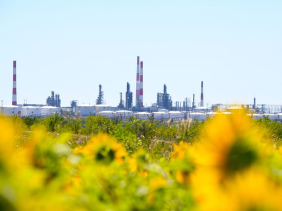 Politico: в Евросоюзе возник раскол из-за ограничений на российскую нефть