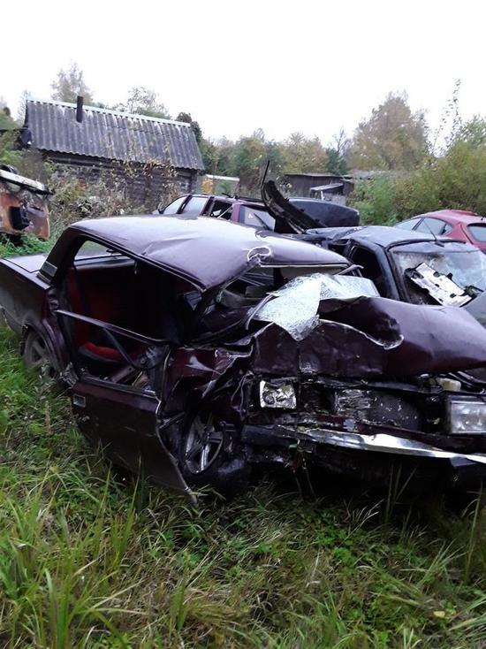 Водитель уснул за рулем под Плюссой и врезался в дерево