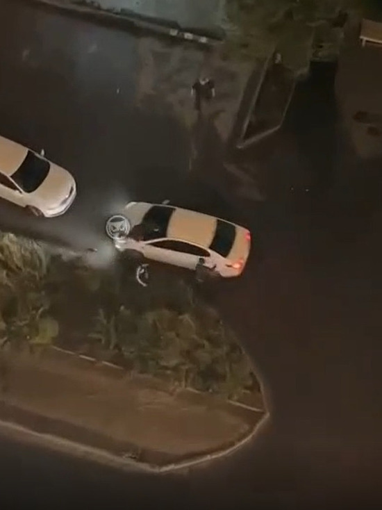 Пензенское ГИБДД прокомментировало видео, на котором водитель давит пешеходов