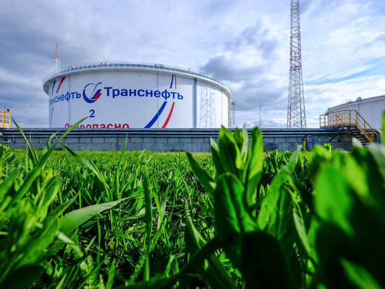 АО «Черномортранснефть» подвело итоги экомониторинга
