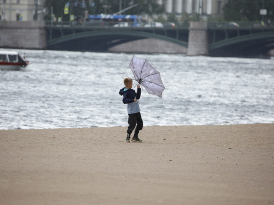 МЧС предупредило о сильном дожде и ветре в Петербурге 4 октября