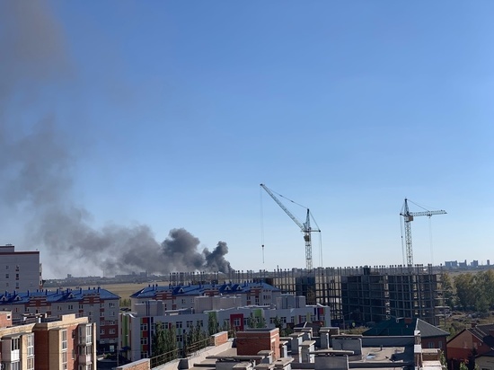 Жителей Омска напугал горевший в Старом Кировске мусор