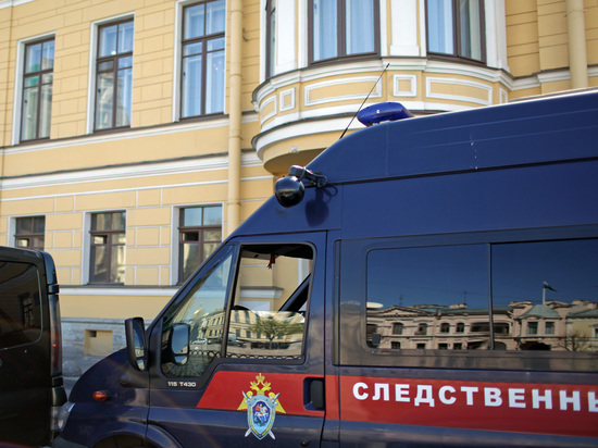 Бастрыкин взял на контроль случай с попыткой похищения 10-летней девочки из ТЦ в Пушкине