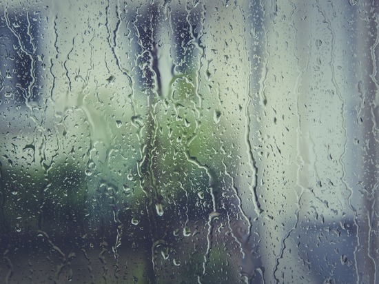 Умеренные дожди и ветер ожидаются в Ленобласти во вторник
