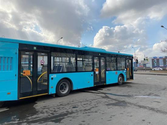 Двадцать новых низкопольных автобусов вышли на маршрут № 254 в Петербурге