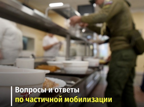 В Курской области записаться добровольцем и обжаловать мобилизацию можно через госуслуги
