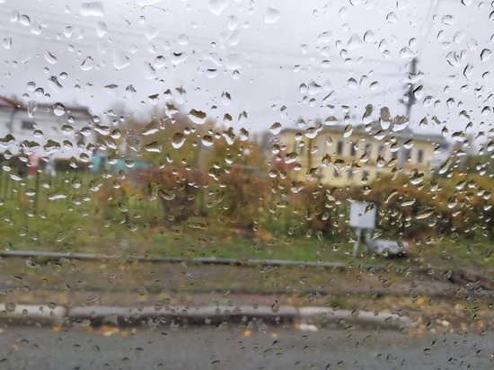 Умеренные дожди возможны в Томске и области 5 октября