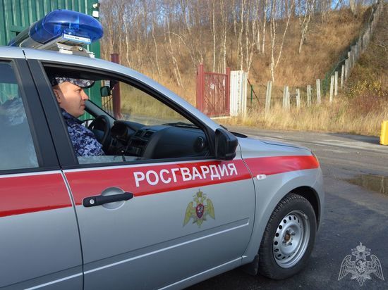 Житель Североморска наведался в мурманский магазин, чтобы вынести оттуда шоколадки и носки