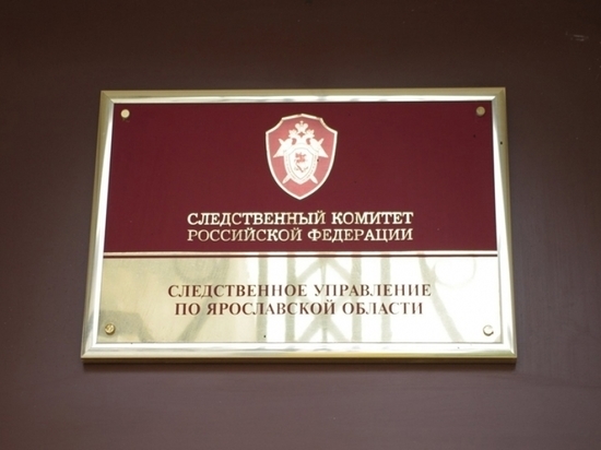 Озвучены уголовные статьи, которые вменяют экс-директору депздрава