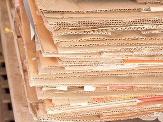 В детской спортивной школе Тамбова проходит сбор макулатуры