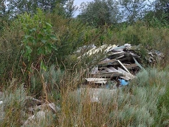 В Курской области жителей села Мокрушино спасли от мусорного апокалипсиса