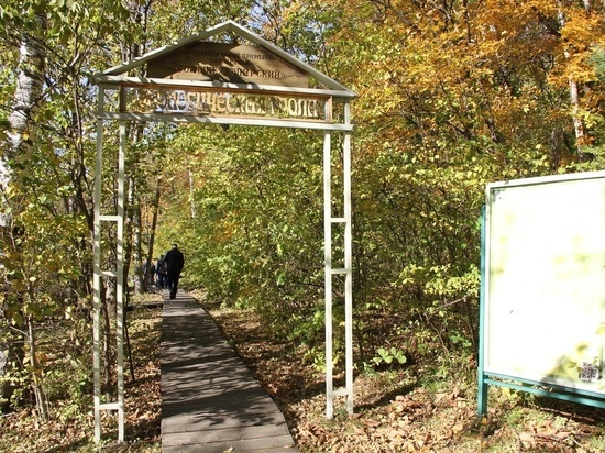 В Хабаровском крае туристов готовы отправить в заповедник, где живут тигры и медведи