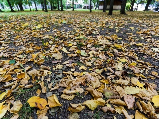 Вилка под кроватью примета