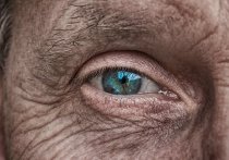 По словам исследователей, инструмент искусственного интеллекта, который сканирует глаза, может точно предсказать риск сердечных заболеваний у человека менее чем за минуту