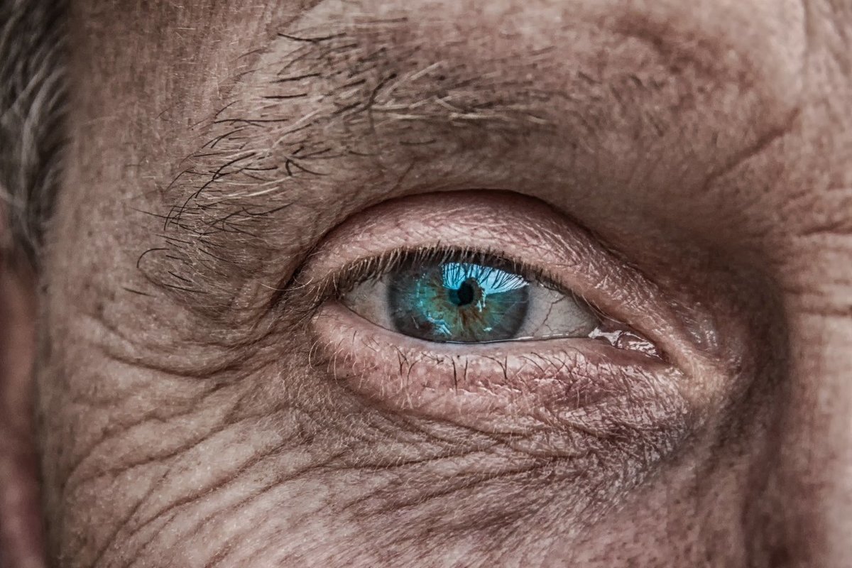 Eyes can predict cardiovascular disease risk in less than a minute