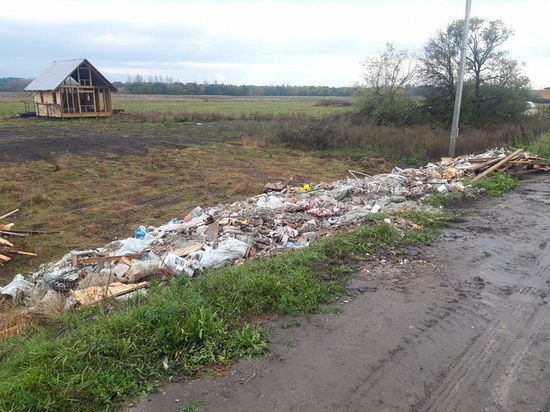 Власти «убедили» жителя Курского района ликвидировать мусорный апокалипсис