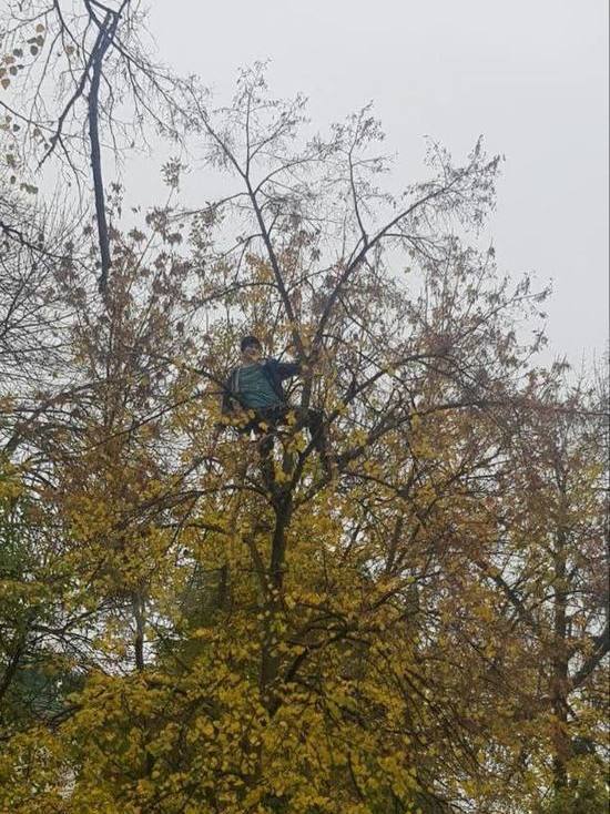 В Пензе замечен маугли