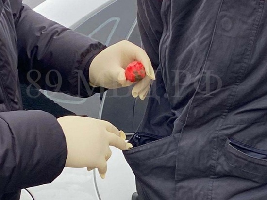 В Лабытнанги арестовали сбытчика растительного наркотика