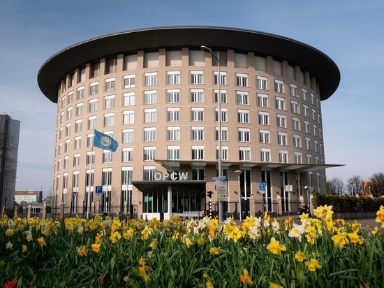 Постпред РФ при ОЗХО: Россия предупреждала о провокациях Киева