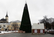 Предлагается на федеральном уровне поддержать инициативу Калужской области и отменить официальные новогодние праздничные мероприятия.