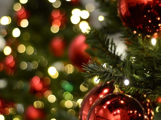 Калининградцы предлагают вместо новогодней елки потратить 56 миллионов на помощь мобилизованным