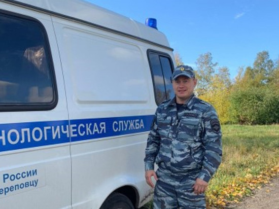 Правоохранитель из Череповца задержал подозреваемую в краже во время своего выходного