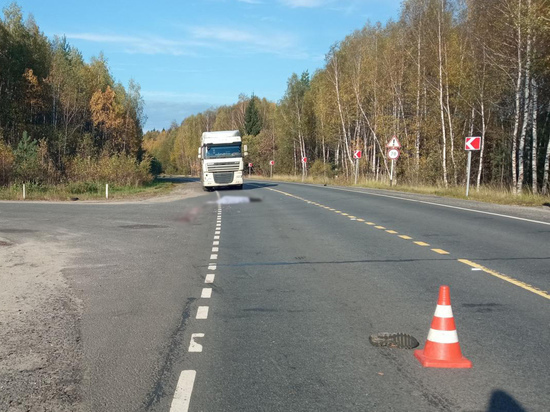 В Ивановской области грузовик насмерть сбил идущего по обочине мужчину