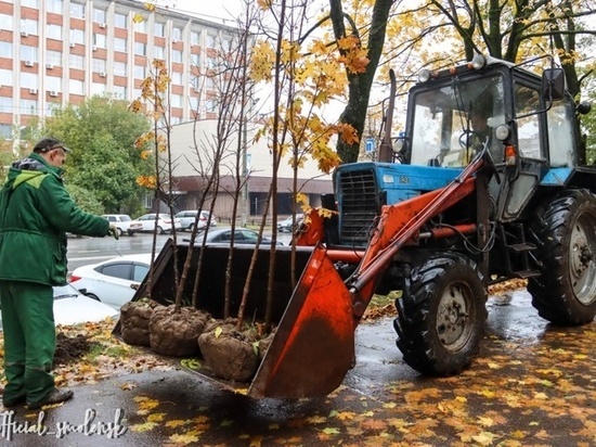 В Смоленске «Зеленстрой» начал осеннее озеленение