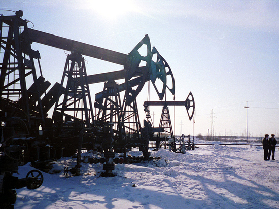 Названы последствия  «потолока» цен на российскую нефть и сокращения добычи ОПЕК+