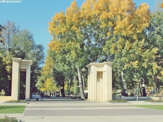 В Центральном парке Воронежа отремонтируют стационарный туалет за 3 млн рублей