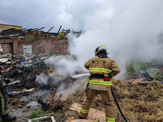 Из-за горевшего в Мурманске мусора по тревоге подняли два пожарно-спасательных подразделения