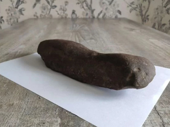 Житель Красноярска продает метеорит за 1 миллион рублей