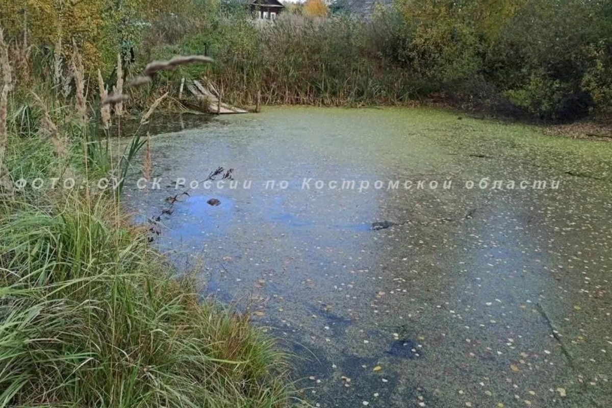 Костромские трагедии: в пруду в деревне Самсонка утонул 40-летний мужчина