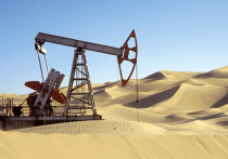 Администрация Байдена возмущена решением ОПЕК+ о сокращении добычи нефти