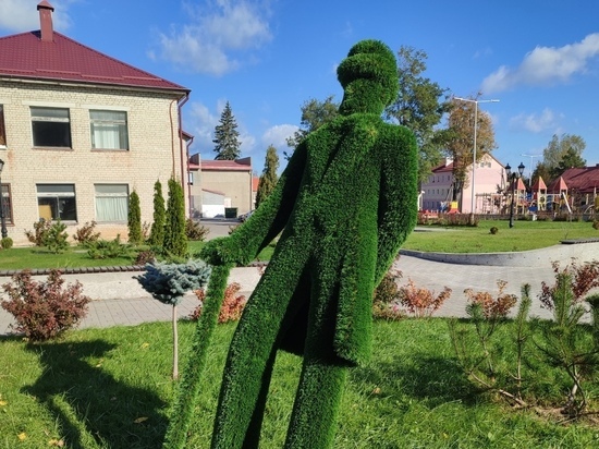 В Краснознаменске вандалы испортили скульптуру из топиара