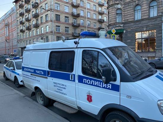 Трое грабителей избили мужчину и отобрали рюкзак с миллионом рублей на Заневском проспекте