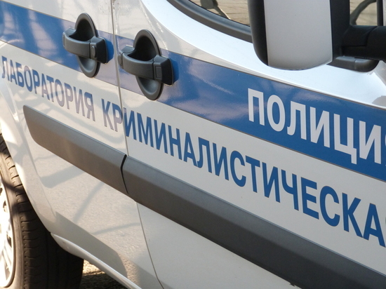 Мурманские полицейские задержали серийного магазинного вора