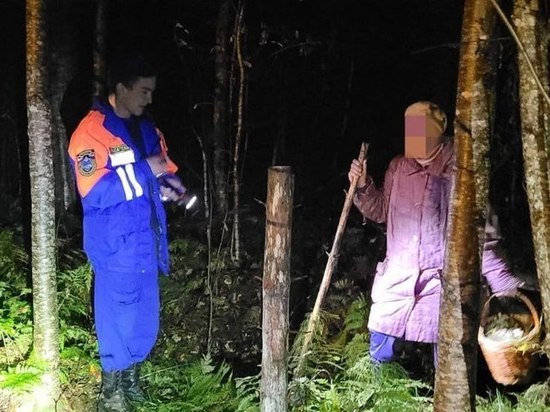 Спасатели вывели из леса заблудившуюся около станции Назия пенсионерку